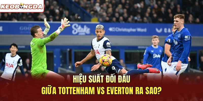 Hiệu suất đối đầu giữa Tottenham vs Everton ra sao?
