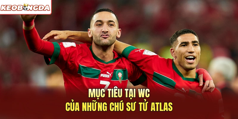 Mục tiêu tại WC của những chú sư tử Atlas