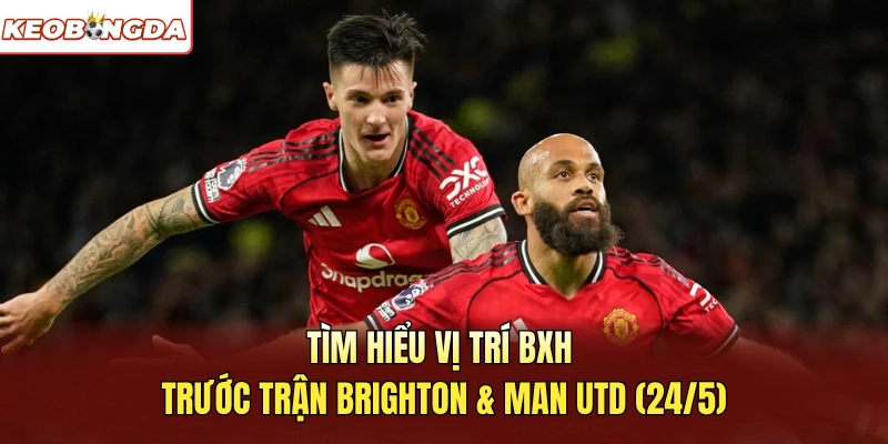 Tìm hiểu vị trí BXH trước trận Brighton Và Man Utd 24/5