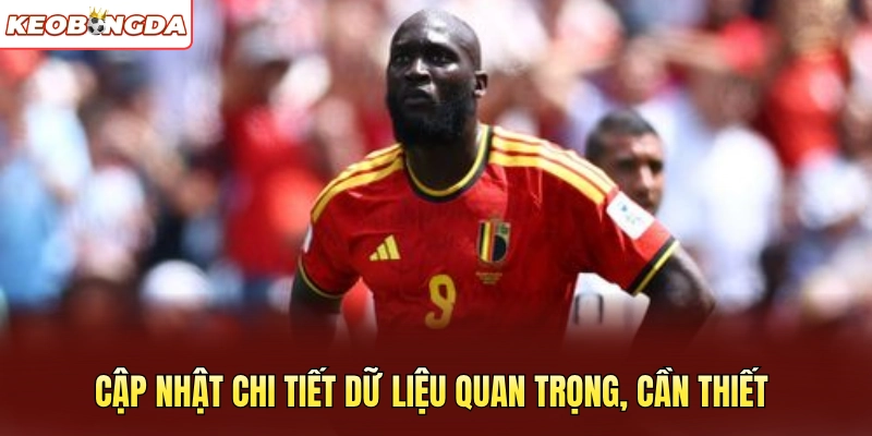 Cập nhật chi tiết dữ liệu quan trọng, cần thiết