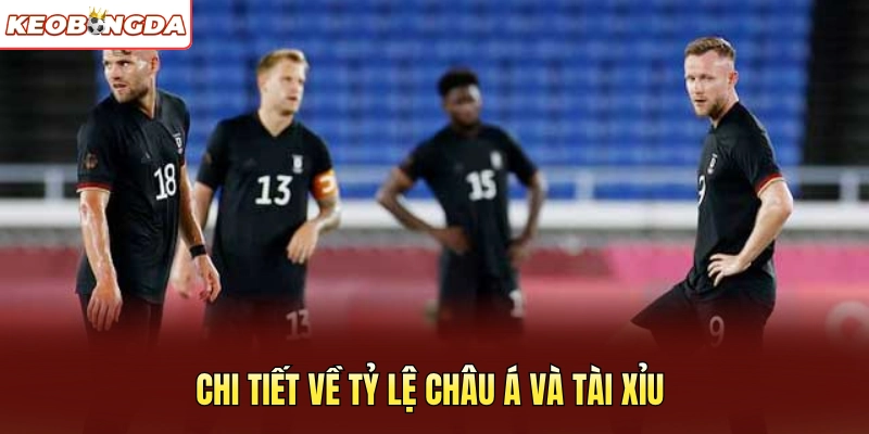 Chi tiết về tỷ lệ Châu Á và Tài Xỉu