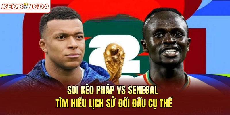 Soi kèo Pháp vs Senegal - Tìm hiểu lịch sử đối đầu cụ thể