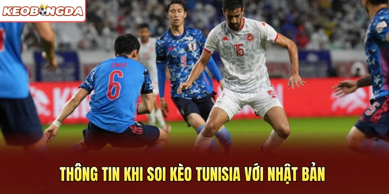 Thông tin khi soi kèo Tunisia với Nhật Bản
