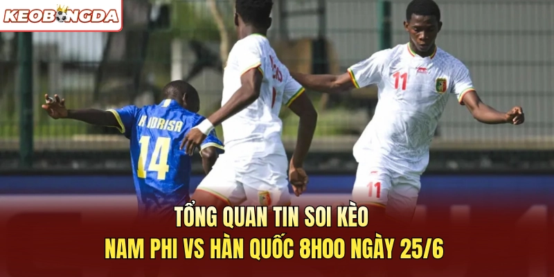 Tổng quan tin soi kèo Nam Phi vs Hàn Quốc 8h00 ngày 25/6